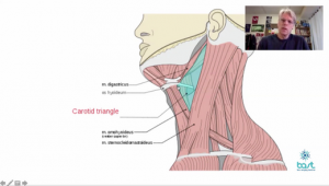 Introducing Vibrant Voice Technique Webinar with David Ley