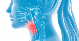 The larynx position